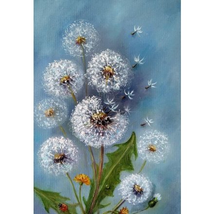 Élményfestés-Pitypangok